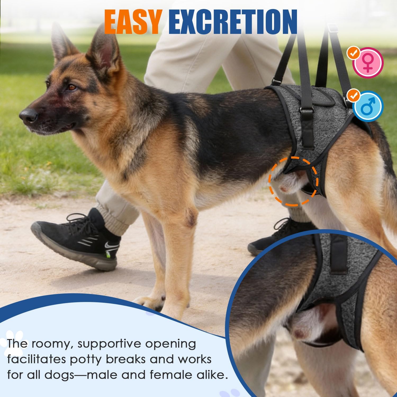Close up of breathable neoprene padding on SlowTon dog harness