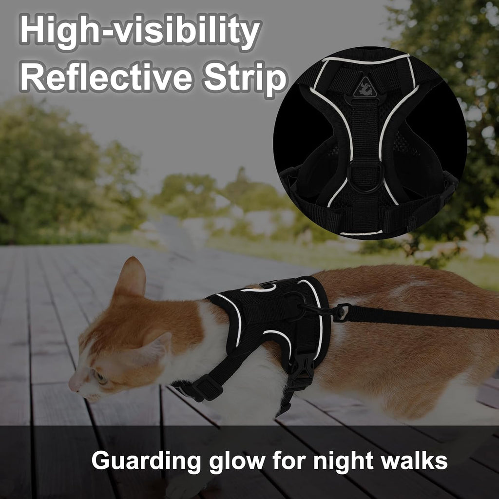 Back view of Kodervo cat vest harness and leash
