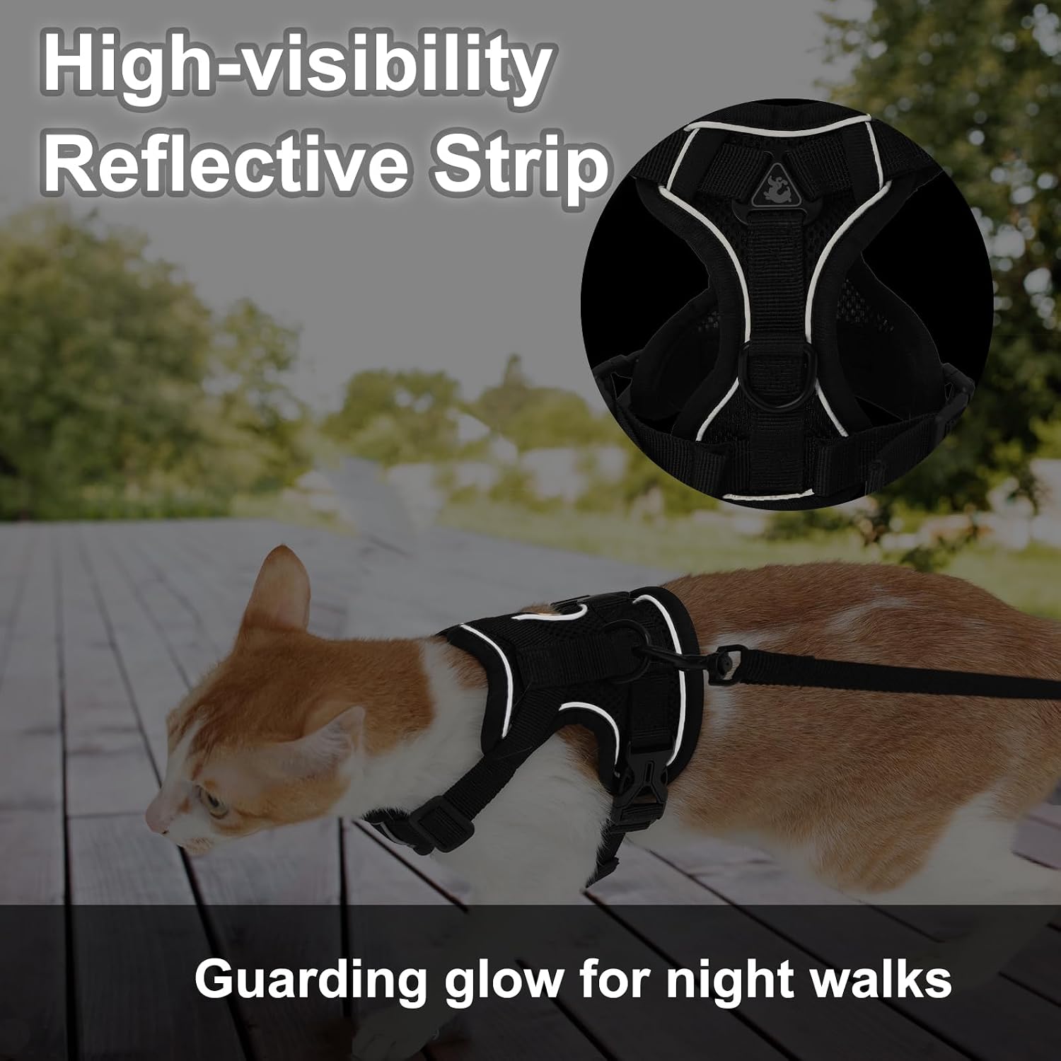 Back view of Kodervo cat vest harness and leash