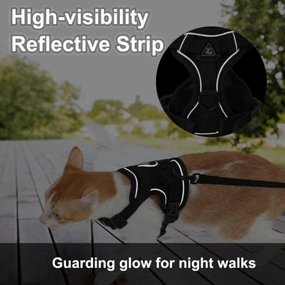 Back view of Kodervo cat vest harness and leash