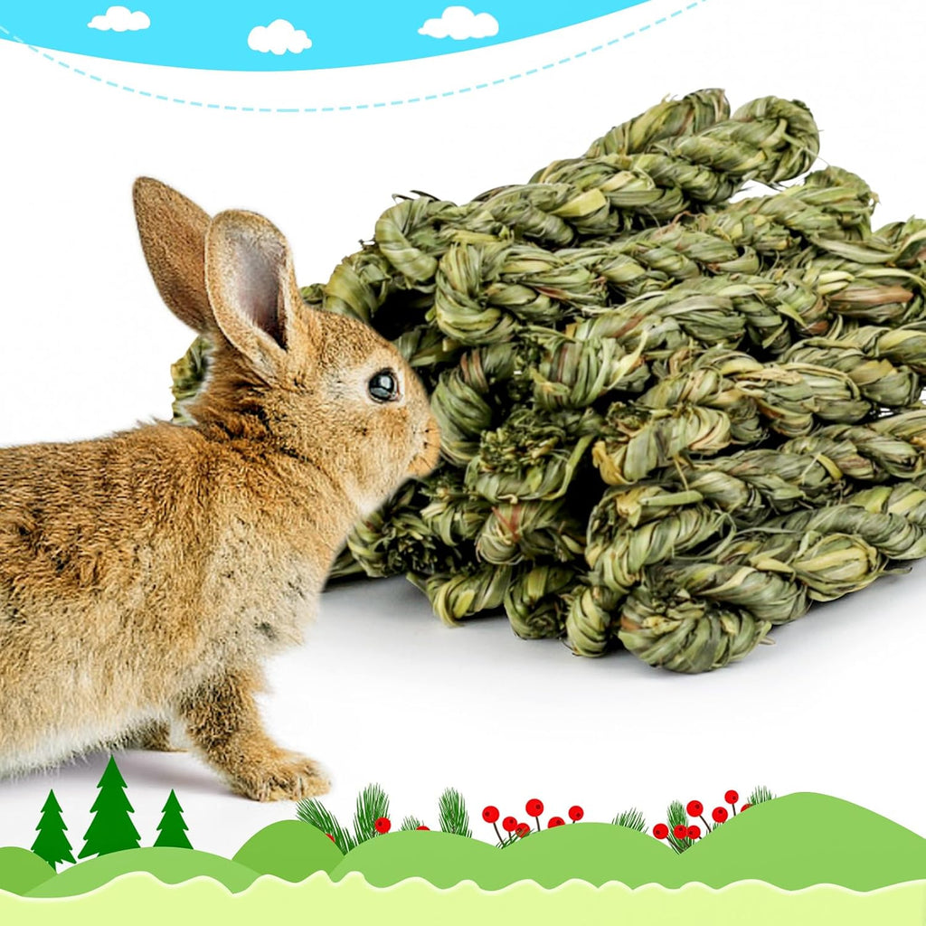 ERKOON rabbit treats displayed to highlight the crunchy texture suitable for rodent dental health.