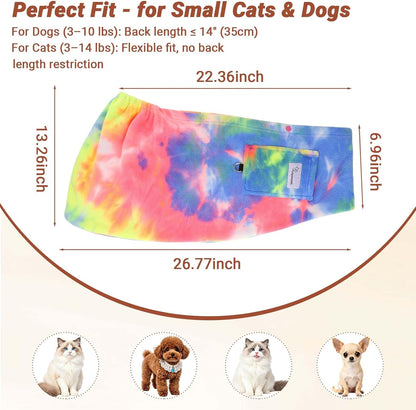 Cat inside OkayOnee Hands Free Pet Sling