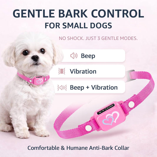 DogTrust anti-bark device with magnetic charging cable