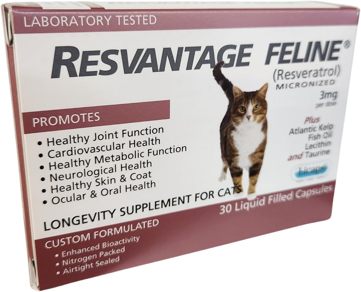 Resvantage Feline capsules for feline health and longevity