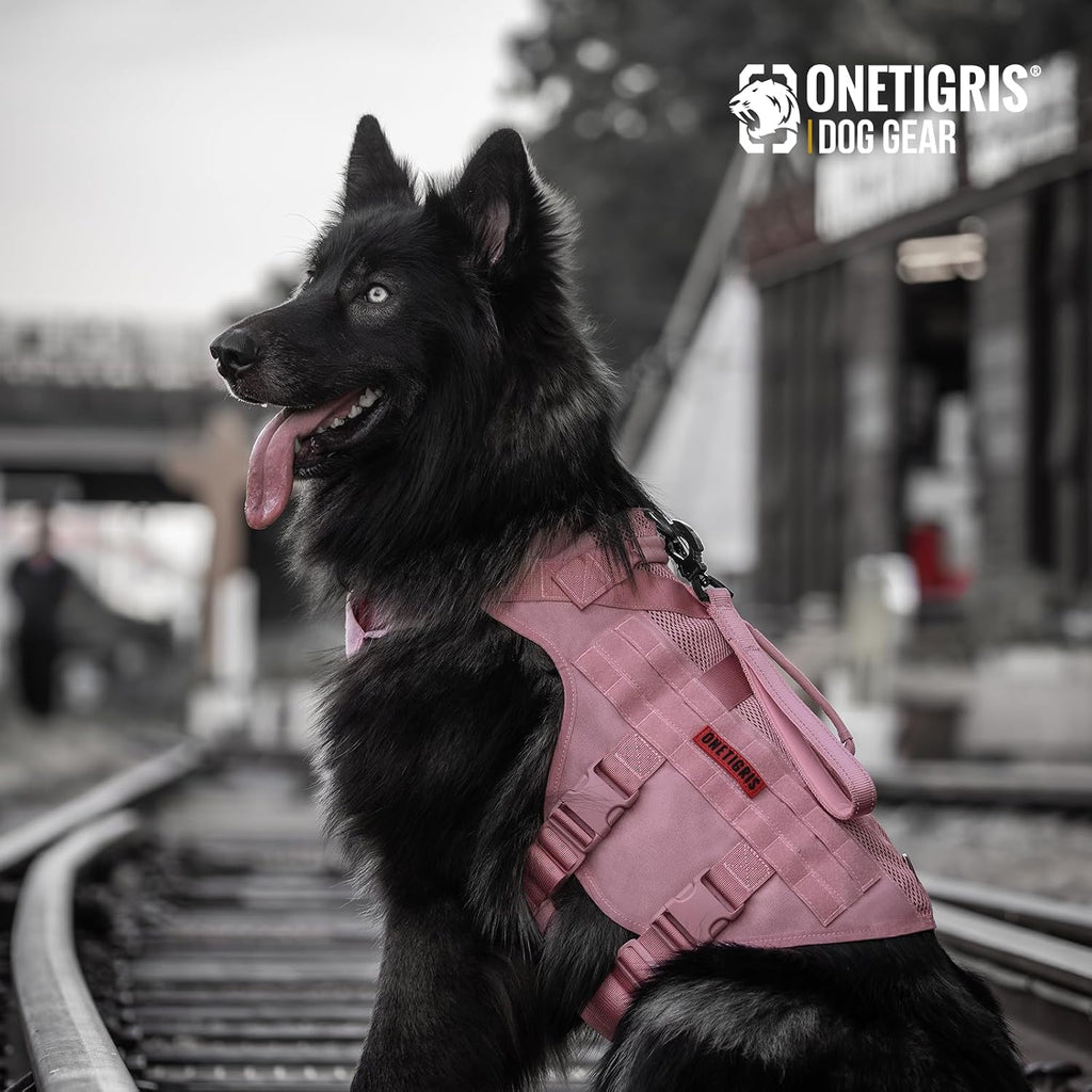OneTigris pink military style dog harness being adjusted on a medium breed