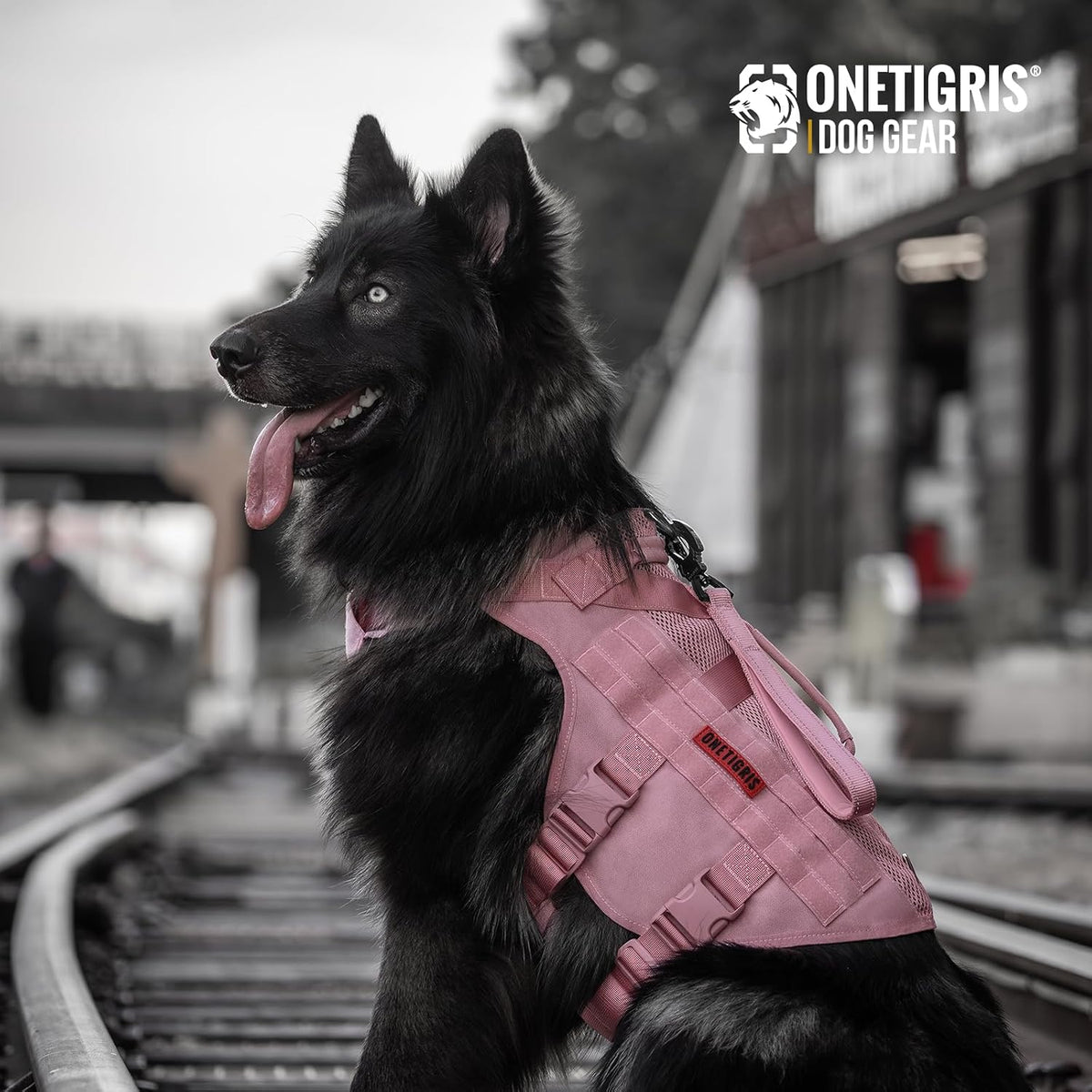 OneTigris pink military style dog harness being adjusted on a medium breed