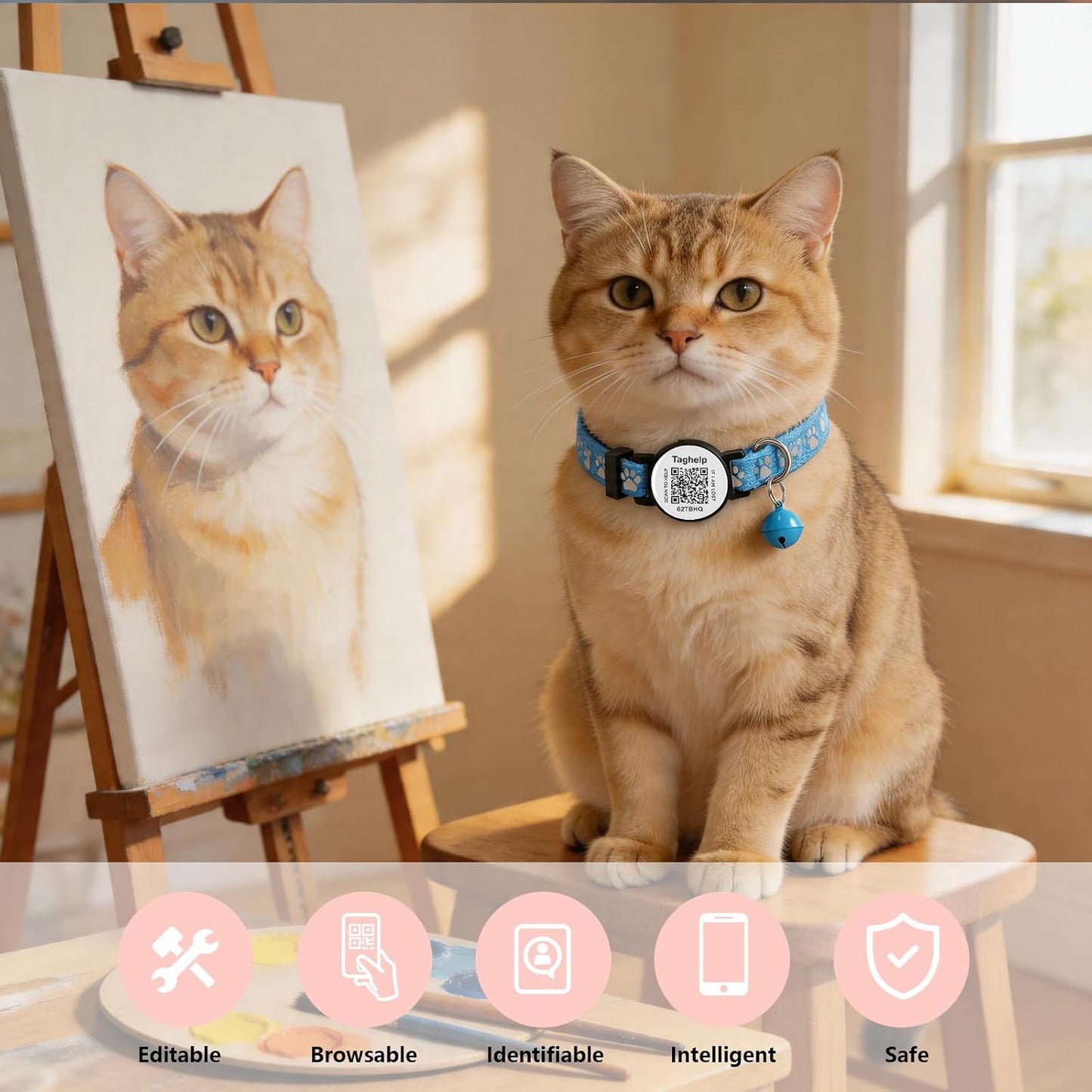Taghelp premium imported blue cat safety collar set with online profile setup.