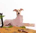 Haloumoning stretchable winter dog clothes displayed on an Italian Greyhound