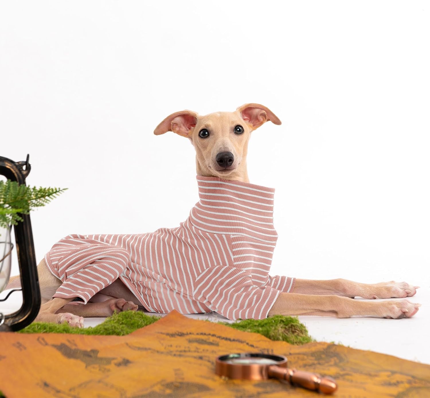 Haloumoning stretchable winter dog clothes displayed on an Italian Greyhound