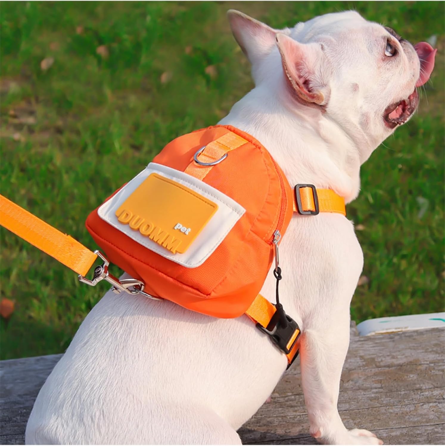 Dog Backpack with Leash, Built-in Poop Bag Dispenser, Adjustable Pet Backpack Harness, Suitable for Small and Medium Dogs, Puppies for Travel, Hiking and Daily Walking. (Blue(Fit:15-30lb)) - Image 9