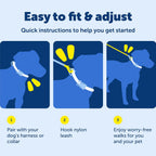 PetSafe traditional style dog leash handle view