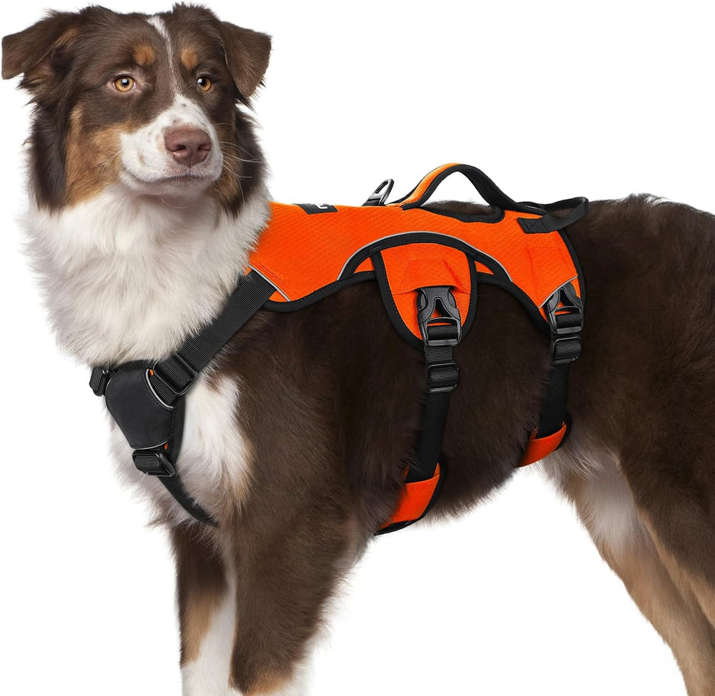 rabbitgoo Escape Proof Dog Harness, Soft Padded Full Body Pet Harness, Reflective Adjustable No Pull Vest with Lift Handle and Leash Clip for Large Dogs Walking Hiking Training, L, Black - Image 10