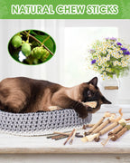 Close up of natural silvervine chew sticks for cat dental health
