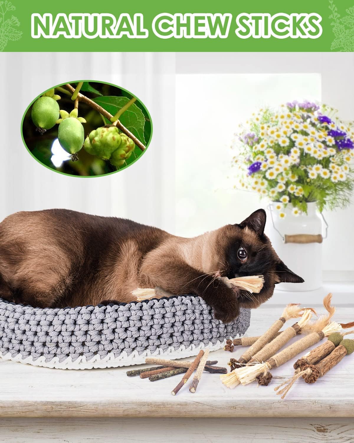 Close up of natural silvervine chew sticks for cat dental health