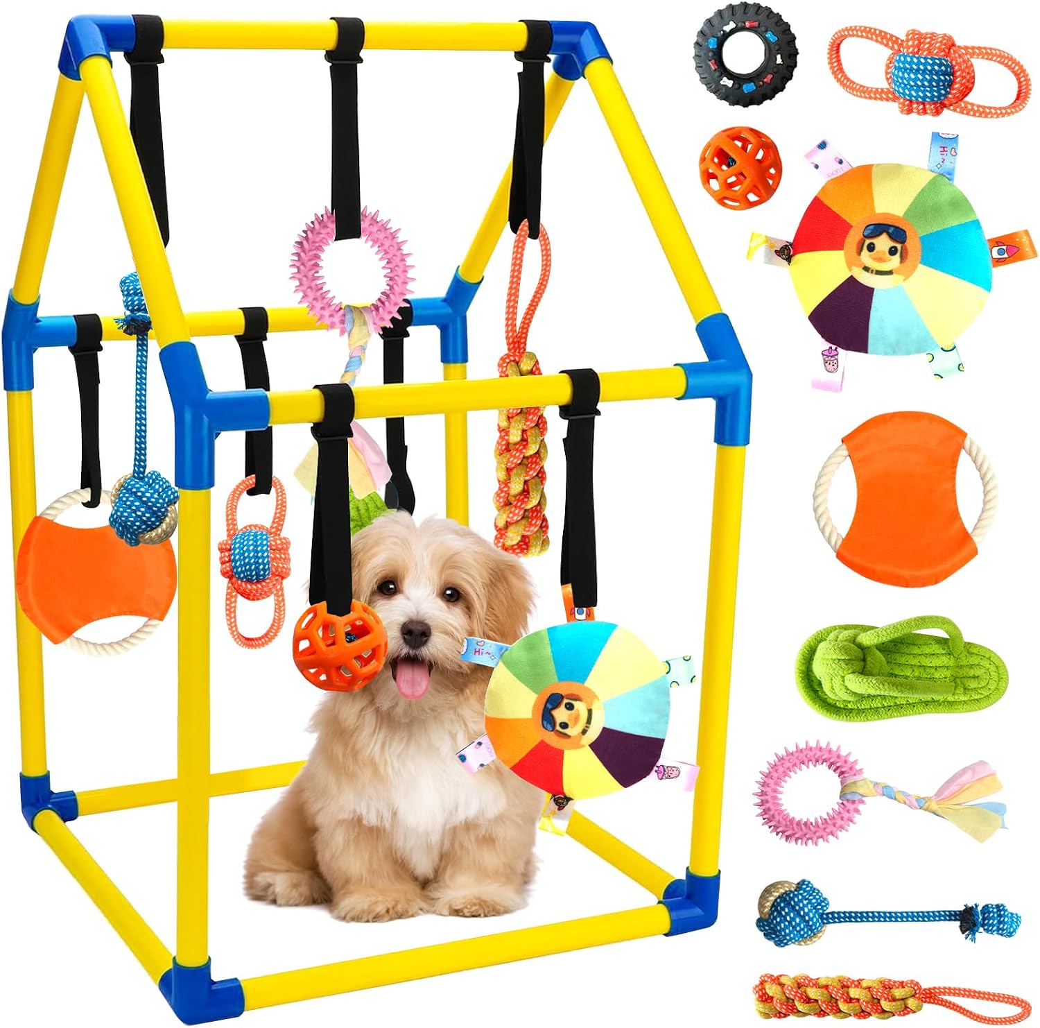 Tynexal puppy play gym front view featuring yellow and blue frame with hanging chew toys for interactive training.