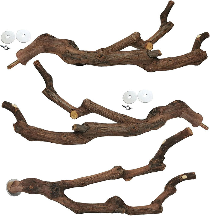 kathson Natural Parrot Perch Bird Stand Pole Wild Grape Stick Paw Grinding Fork Parakeet Climbing Standing Branches Toy Chewable Cage Accessories for Small Budgies Cockatiels Lovebirds 3PCS - Image 1