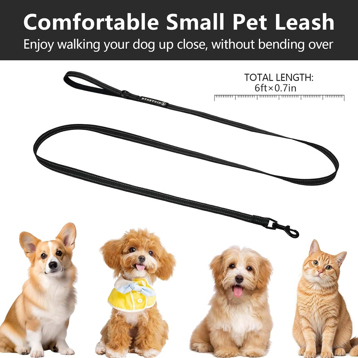 HIHANHAN black dog leash showing the integrated thick metal D ring for attaching training accessories and poop bag holders.