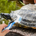 NOLITOY reptile plastic scrubber highlighting the wide brush side for large shell surface maintenance.