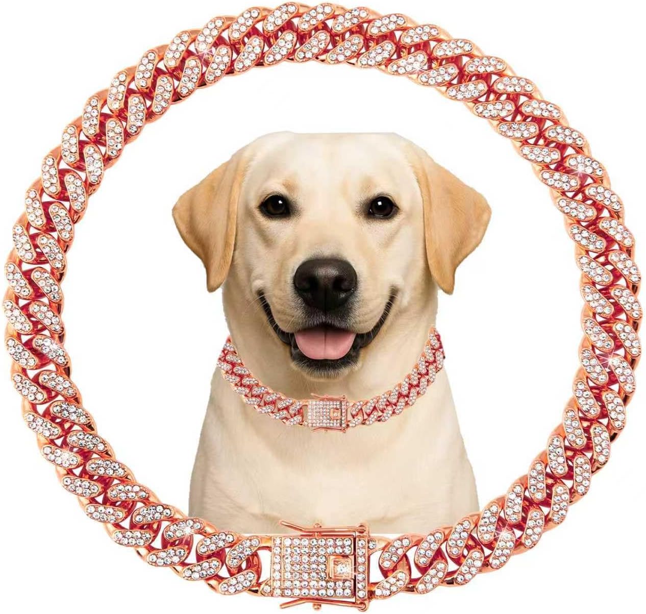 Packaging layout of the imported gold crystal Cuban link chain pet jewelry variant