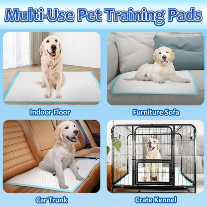 Potty training mat for puppies placed on indoor living room floor