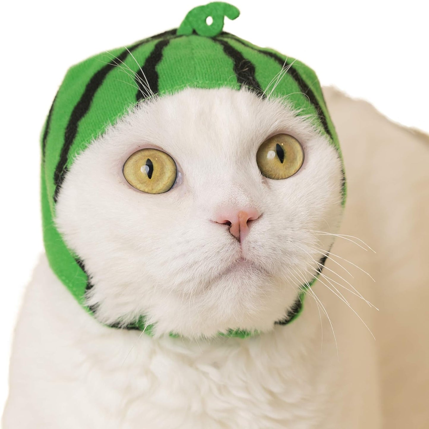 Cat wearing Japanese kawaii fruit design hat