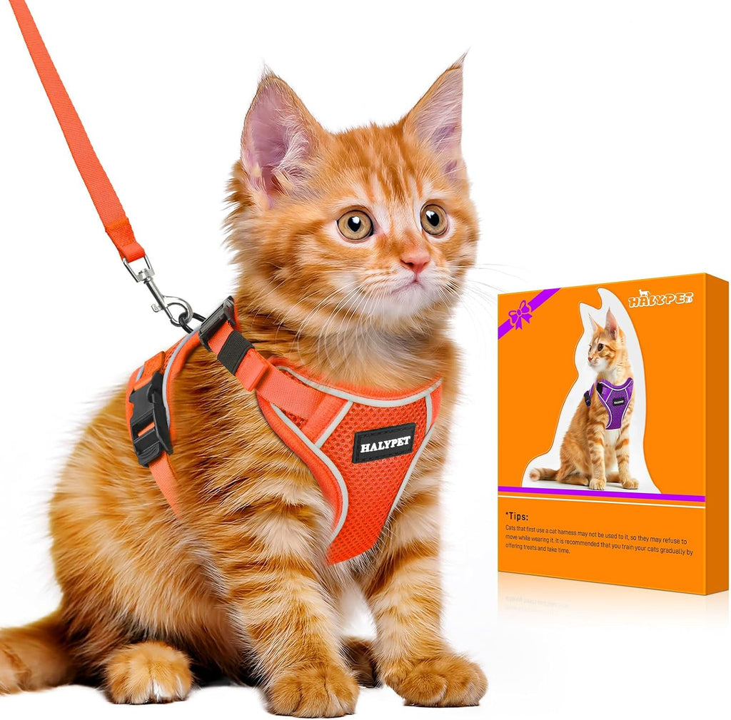 Halypet Cat Harness and Leash Set - MAX Safety 4th-Gen Upgrade, Escape Proof, Adjustable, Comfortable Soft Vest, Easy to Wear Kitten Harness with Reflective Strip for Cats Walking - Small Black - Image 10
