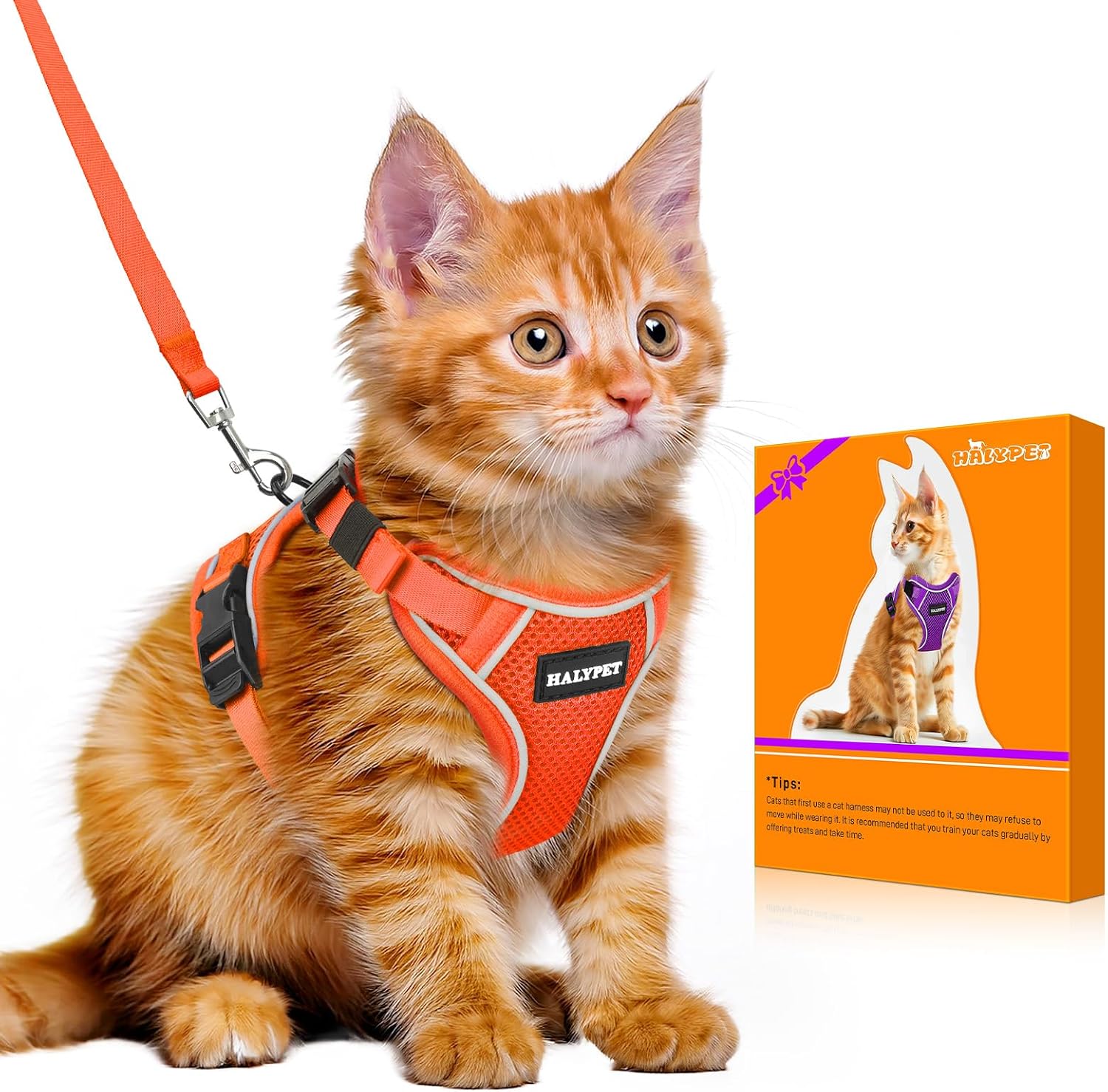 Halypet Cat Harness and Leash Set - MAX Safety 4th-Gen Upgrade, Escape Proof, Adjustable, Comfortable Soft Vest, Easy to Wear Kitten Harness with Reflective Strip for Cats Walking - Small Black - Image 10