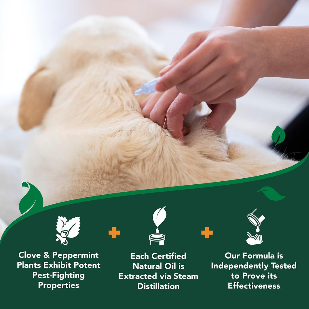 Vet's Best Natural Flea and Tick Drops for Dogs - Natural Topical Flea Prevention with Certified Essential Oils - Plant-Based Spot-On Treatment for Large Dogs - Pest Control - 4 Month Supply - Image 9
