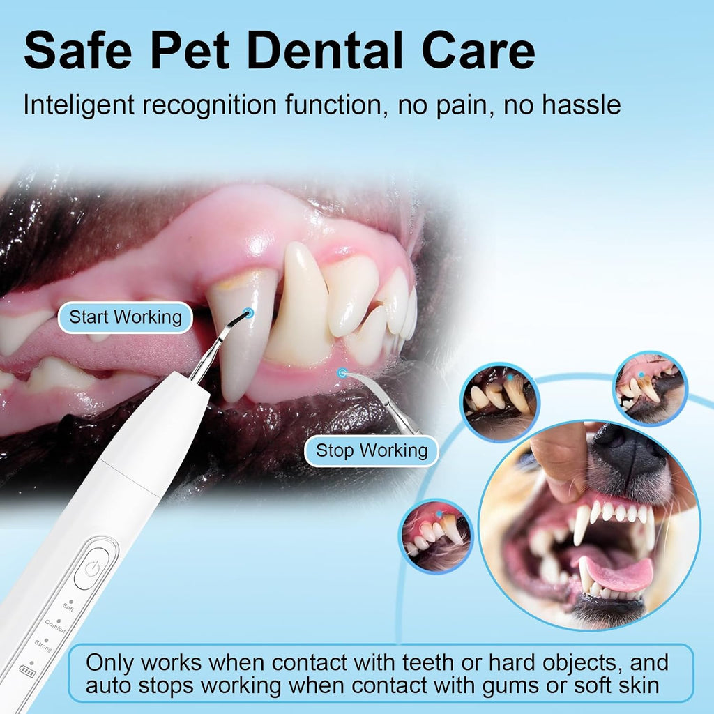 Side profile of Saruel ultrasonic dog tooth cleaning tool