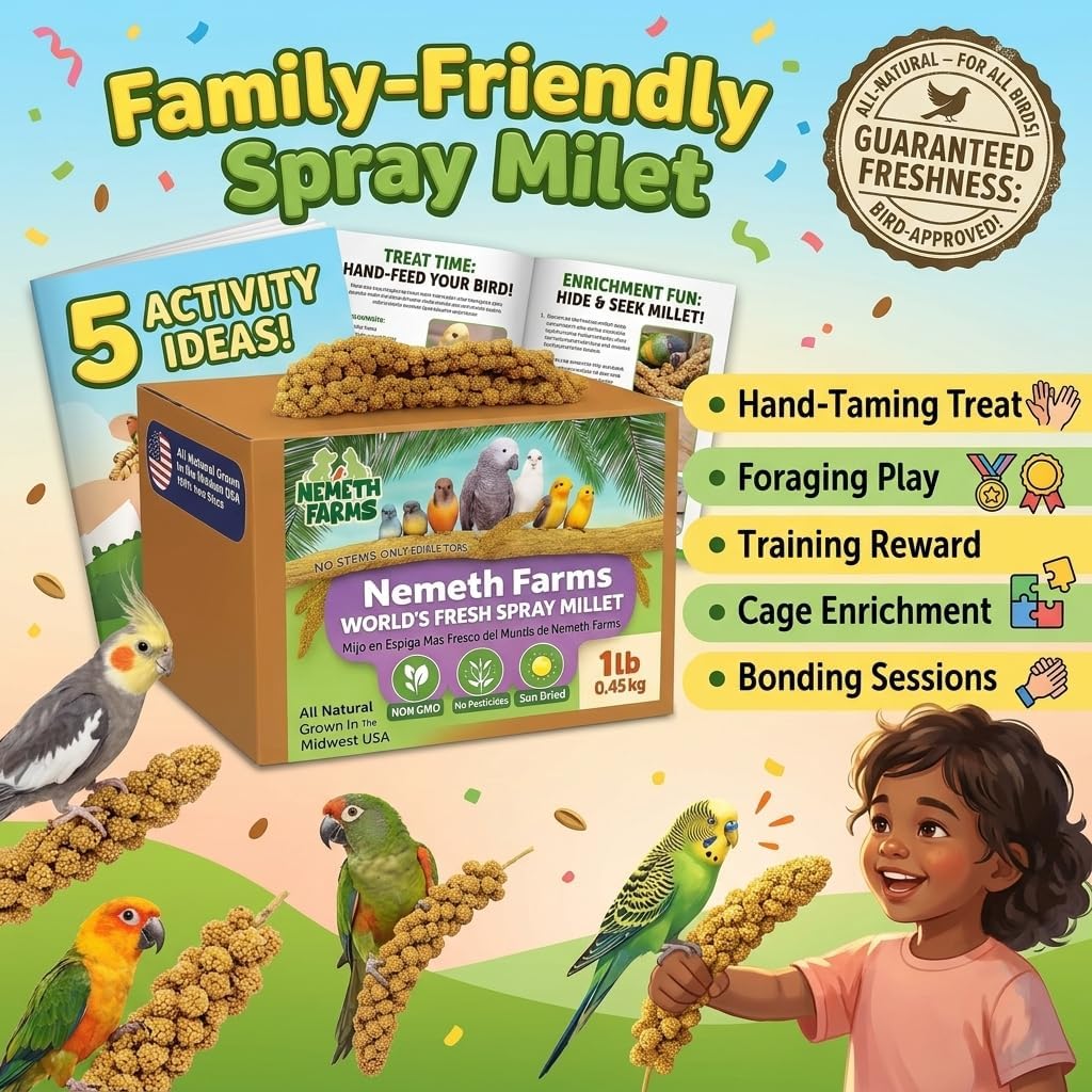 Small pet bird eating Nemeth Farms millet spray