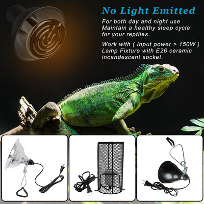 Close-up of the standard E26 screw base on the domestic reptile heater lamp.