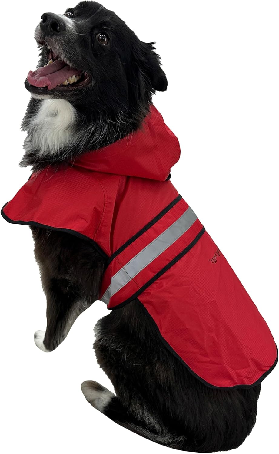 Dogg Toggs premium canine rainy day outerwear showcasing durable flexible materials.
