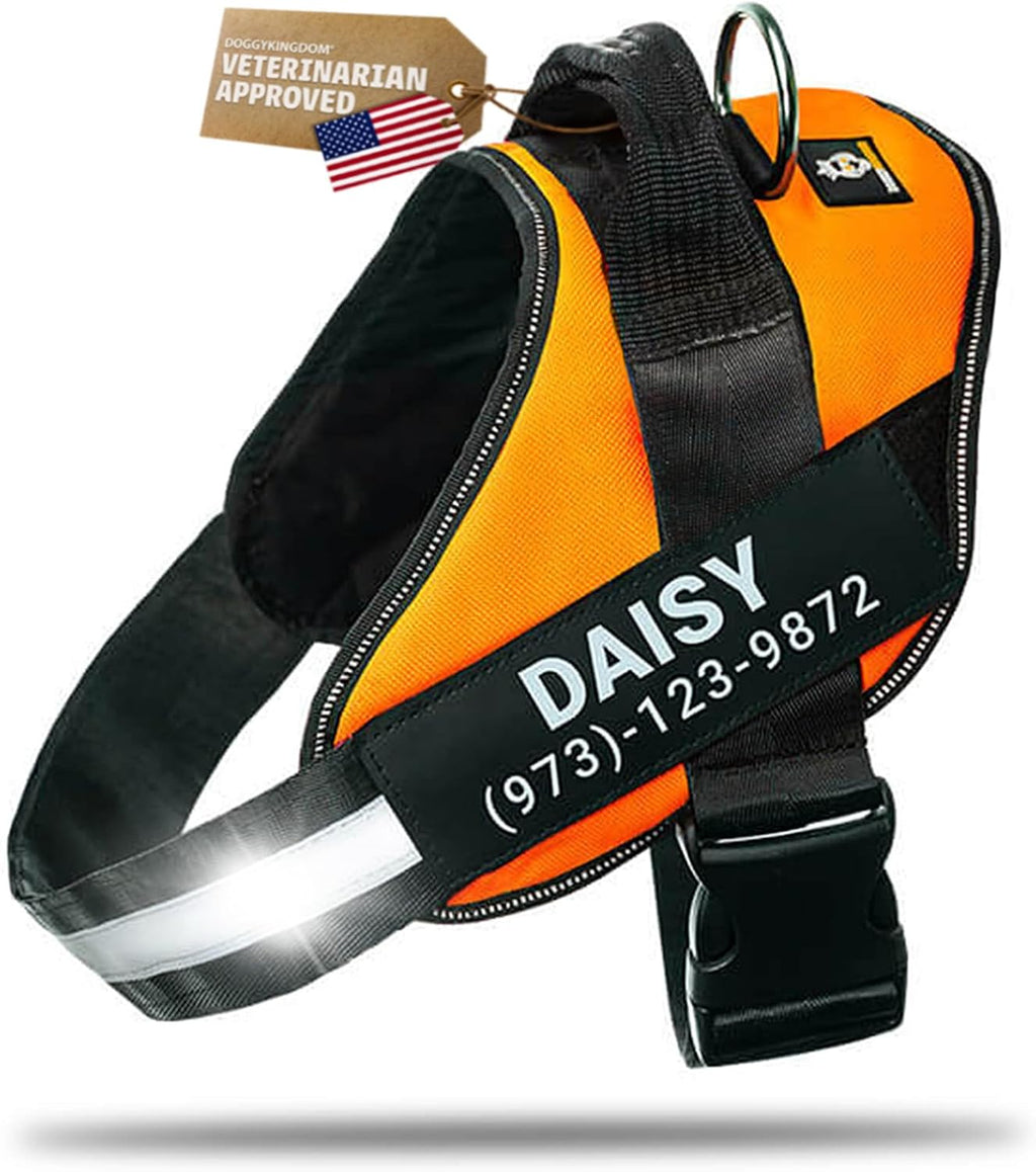 DOGGYKINGDOM Personalized Dog Harness with Custom Name Patches, Adjustable Reflective No Choke Dog Vest with Handle for Medium Sized Dog, Blue, M - Image 11