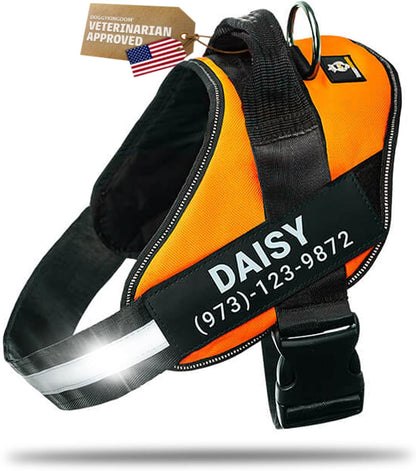 DOGGYKINGDOM Personalized Dog Harness with Custom Name Patches, Adjustable Reflective No Choke Dog Vest with Handle for Medium Sized Dog, Blue, M - Image 11