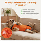 Avont dog onesie e collar alternative showing adjustable hook and loop fasteners