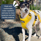 Weather resistant neoprene fabric texture of Django harness