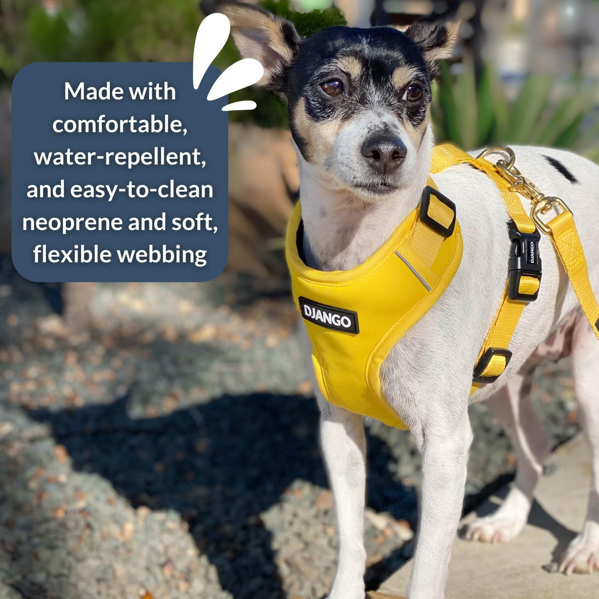 Weather resistant neoprene fabric texture of Django harness