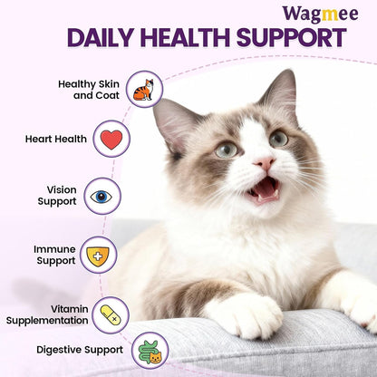 Wagmee daily cat vitamins close-up shot showing 500 count packaging