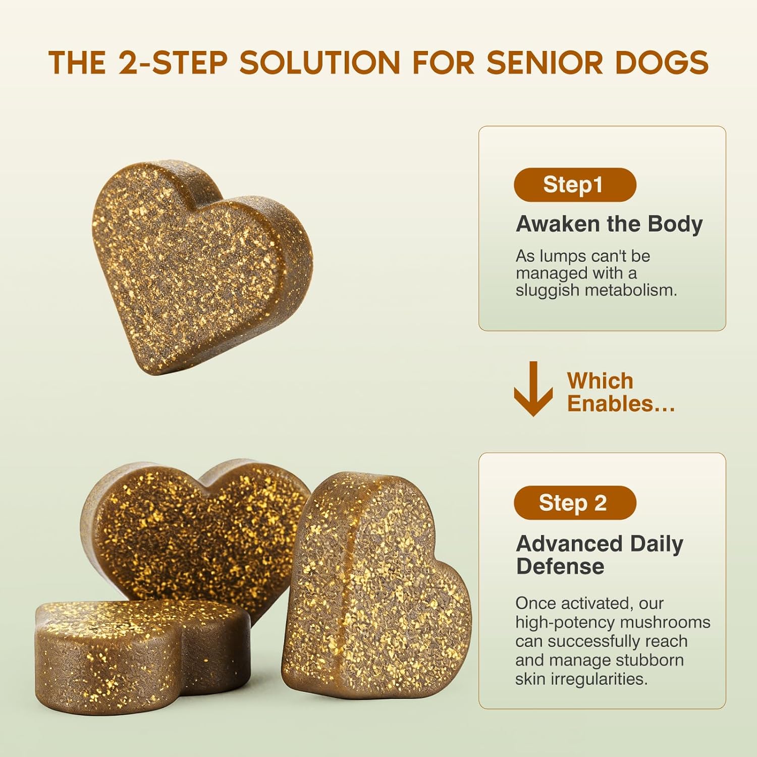 Ladnut senior dog supplement packaging showing chicken flavor label details and 120 count text