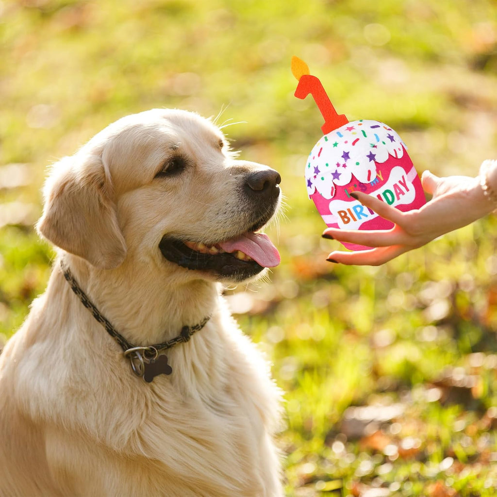 Dansydaisy authentic imported pet birthday gift squeaky plush cake toy