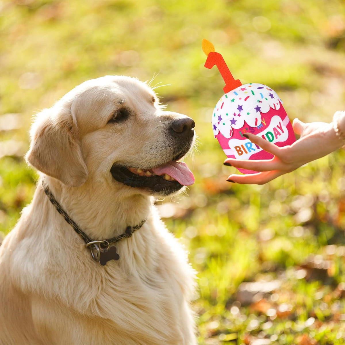 Dansydaisy authentic imported pet birthday gift squeaky plush cake toy