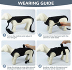 LETSQK black dog brace highlighting the adjustable hook and loop Velcro closures