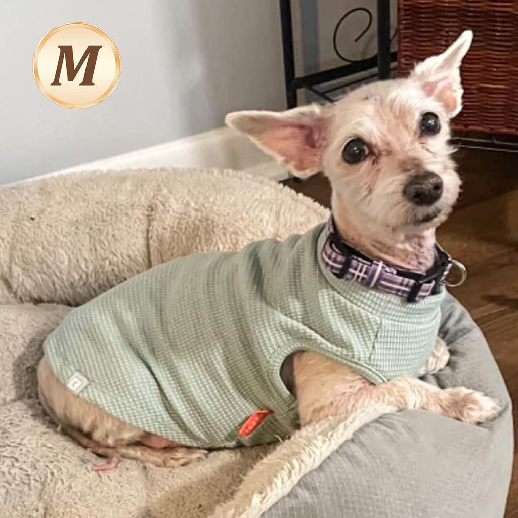 Striped waffle knit dog vest for small pets