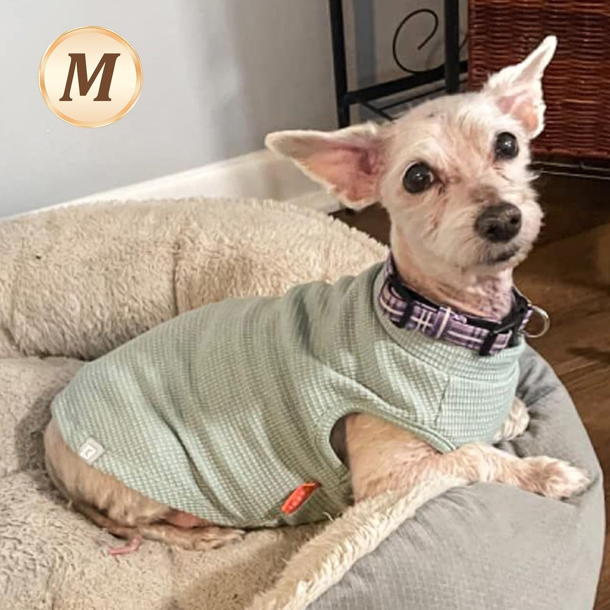 Striped waffle knit dog vest for small pets