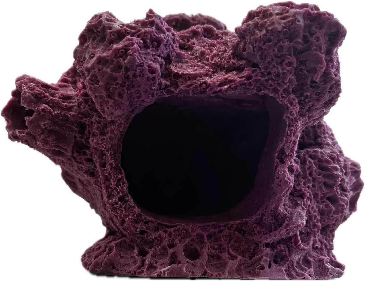 Ocean Aquaria 7 hole barnacle cave frag rock in coralline purple front view for reef aquariums