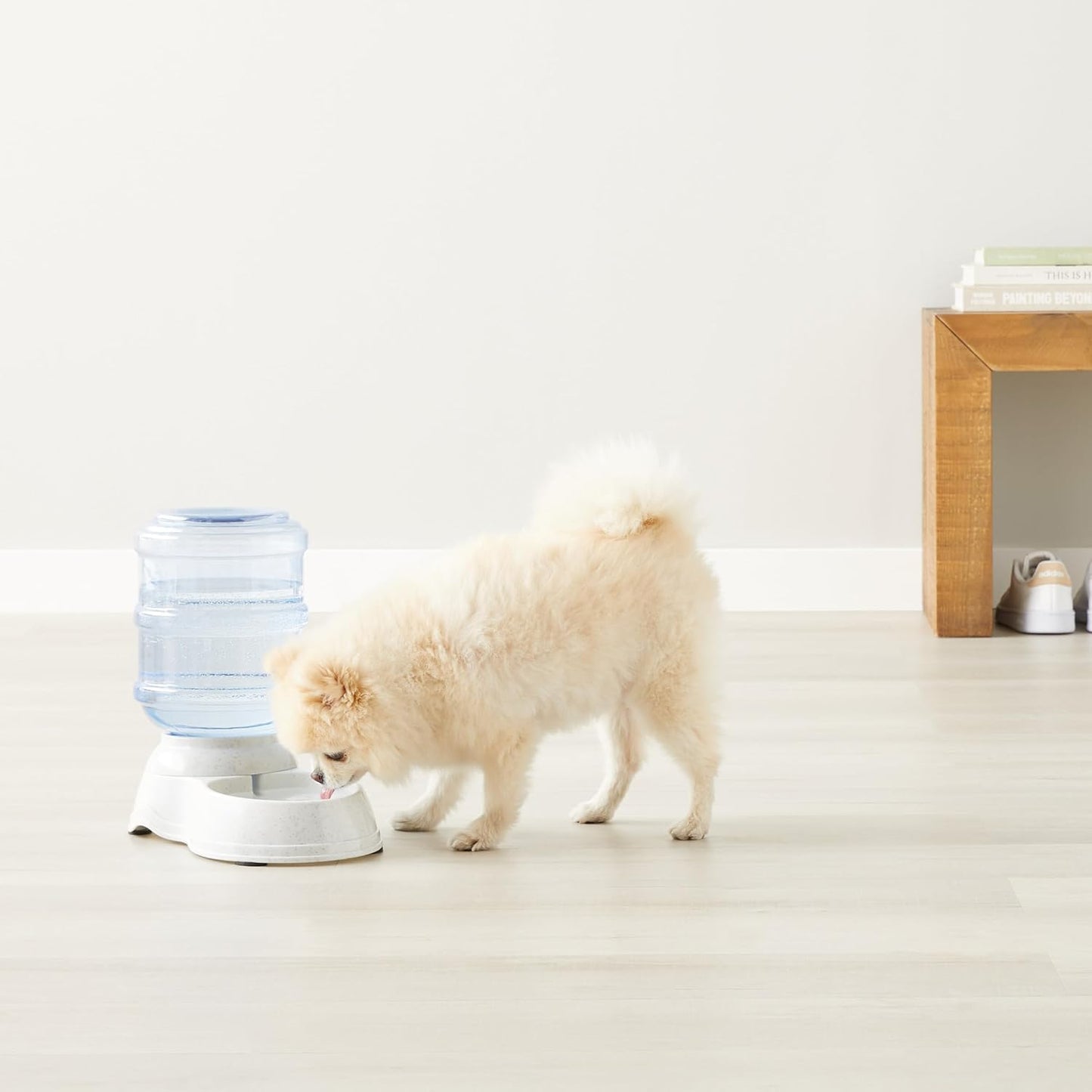 USA imported Amazon Basics gravity pet drinking bowl for modern homes