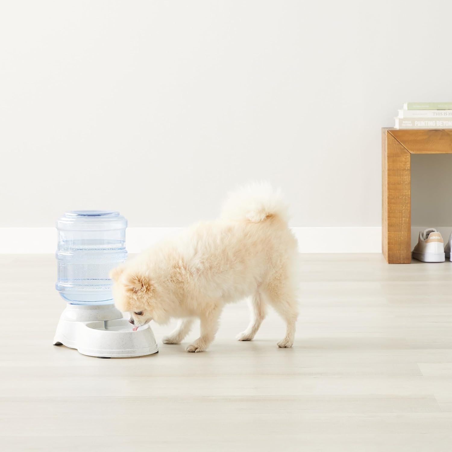 USA imported Amazon Basics gravity pet drinking bowl for modern homes