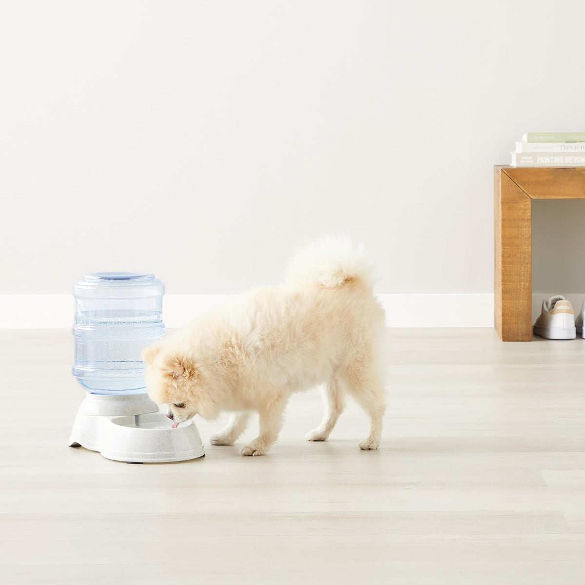 USA imported Amazon Basics gravity pet drinking bowl for modern homes