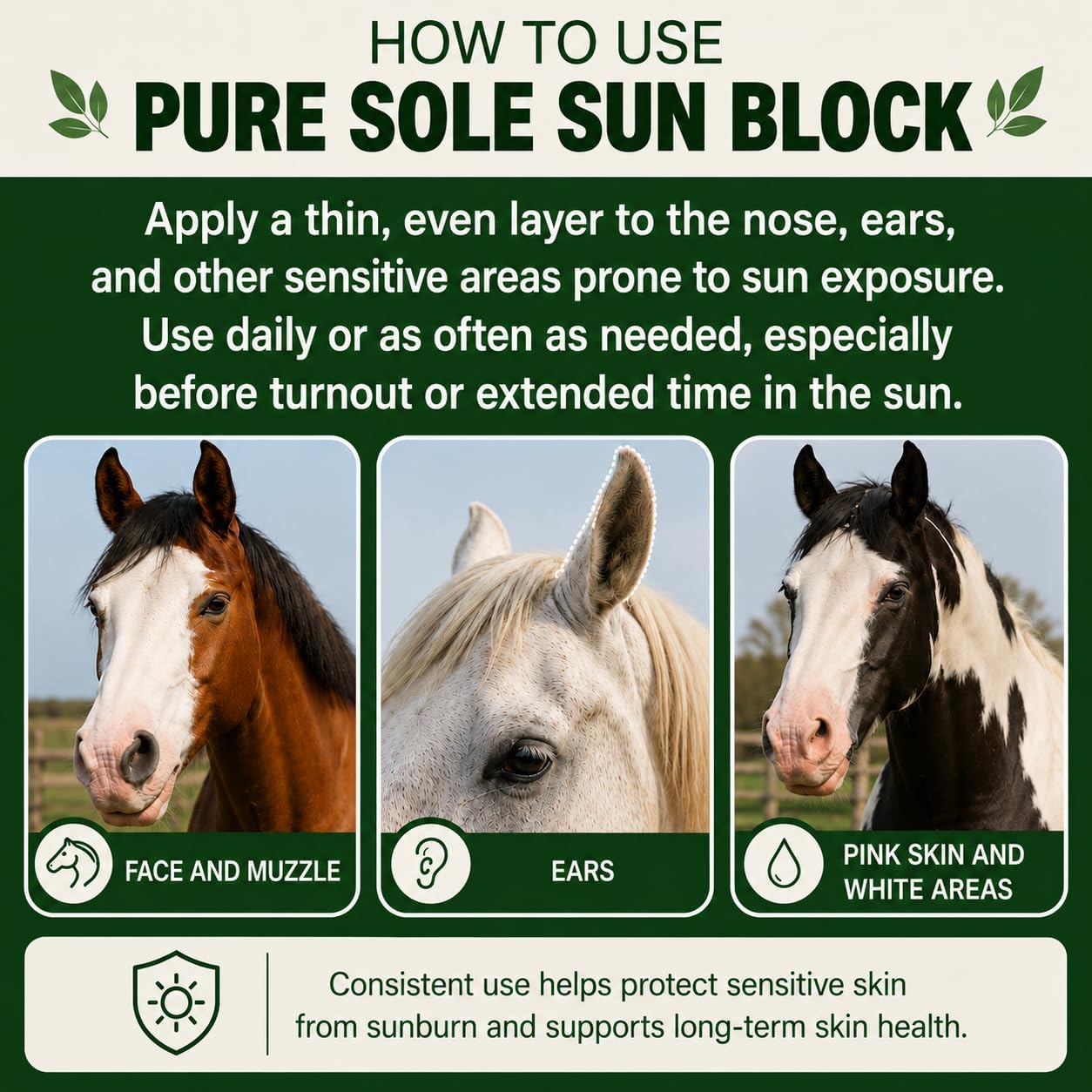 Pure Sole Horse Nose Sunscreen | Moisturizing Equine Sunblock with Non-Nano Zinc Oxide for Pink Noses, White Noses, Sensitive Skin | Broad Spectrum UV Protection | Water Resistant, 2 oz Push-Up Stick - Image 9