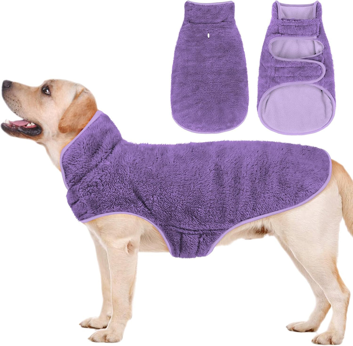 Malier dog winter coat purple medium front view on a pet.